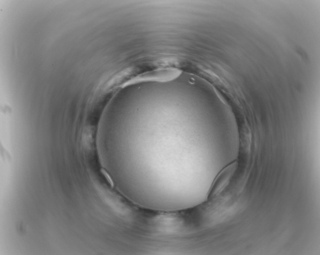 X0000091350280200708101536