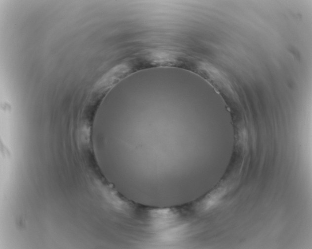 X0000091350281200708101536