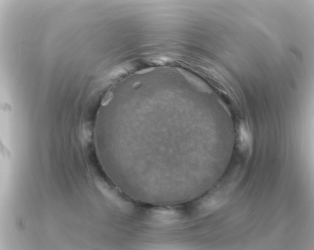 X0000091350284200708101536