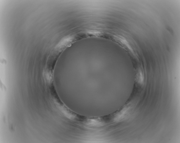 X0000091350285200708101536