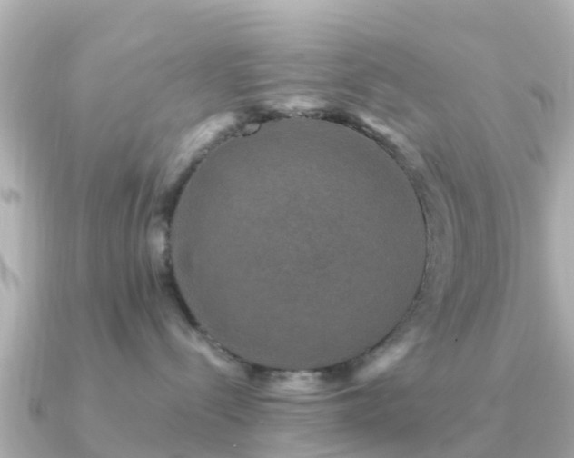 X0000091350288200708101536