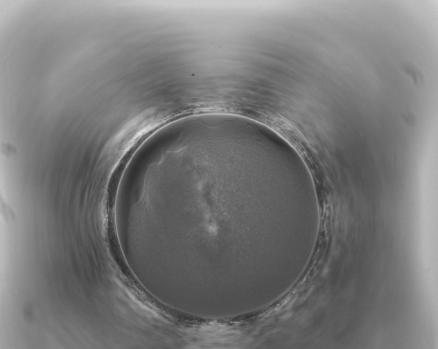 X0000091350290200708101536