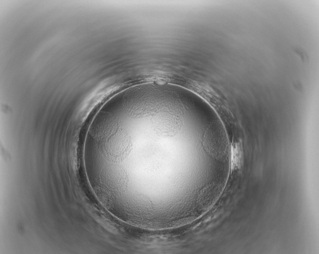 X0000091350291200708101536