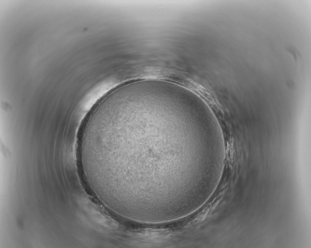 X0000091350292200708101536