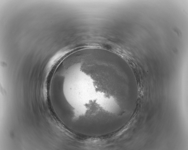 X0000091350294200708101535