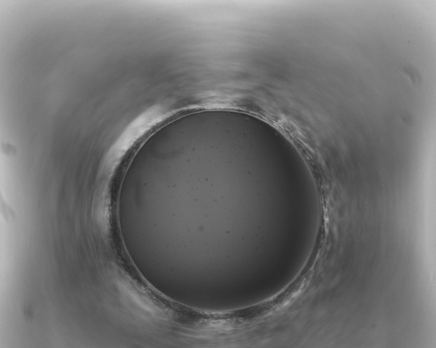 X0000091350295200708101535