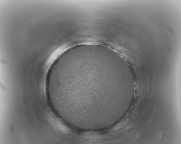 X0000091350296200708101535