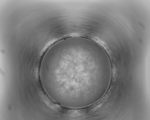 X0000091350297200708101535