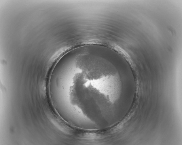 X0000091350298200708101535