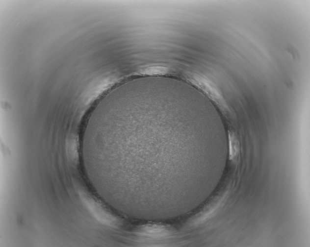X0000091350300200708101535