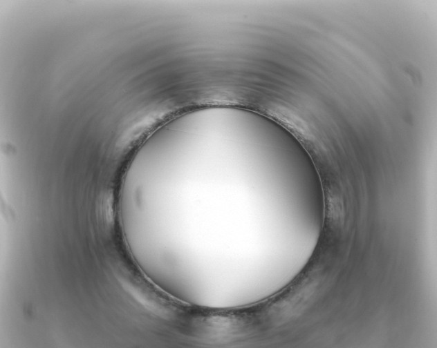X0000091350302200708101535