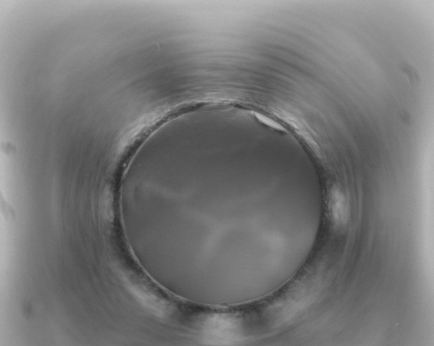 X0000091350303200708101535