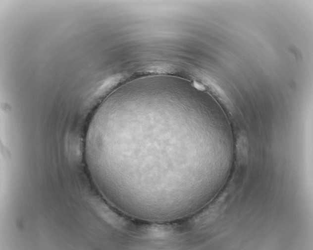 X0000091350305200708101535