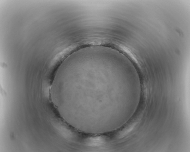 X0000091350307200708101535