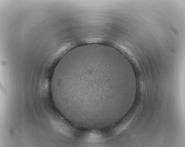 X0000091350308200708101535