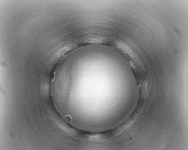 X0000091350309200708101535