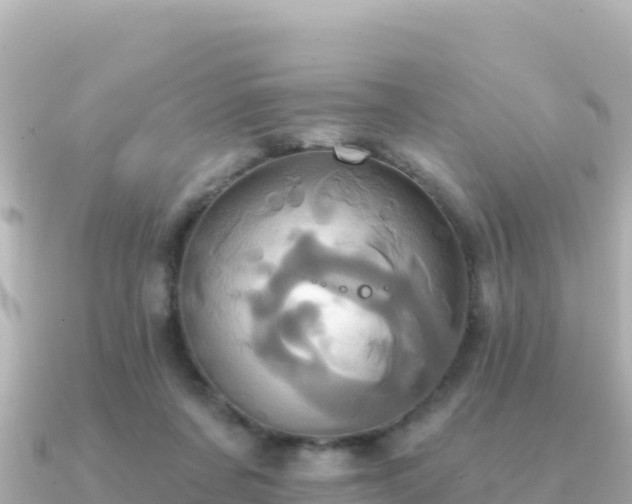 X0000091350311200708101535