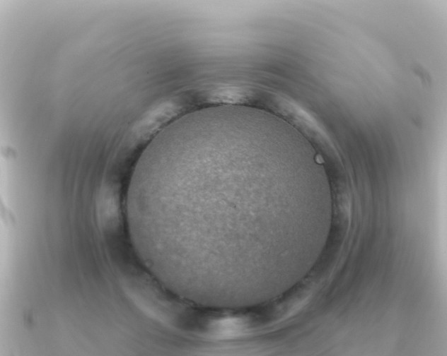 X0000091350312200708101535