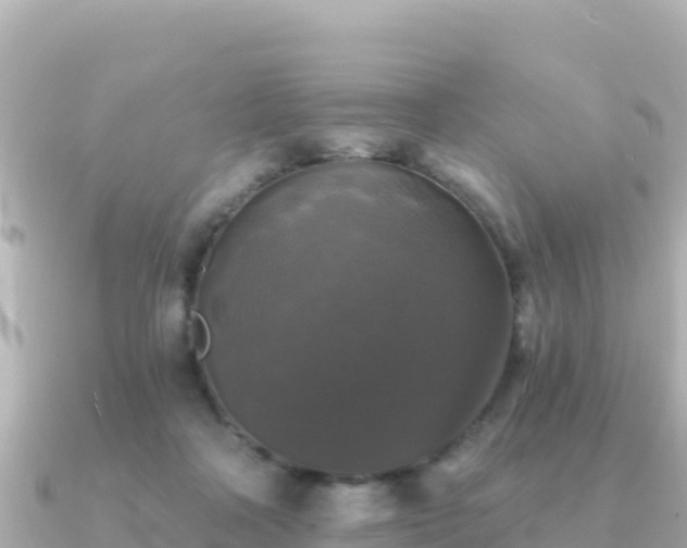 X0000091350314200708101535