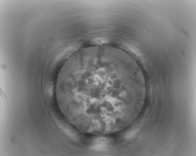 X0000091350315200708101535