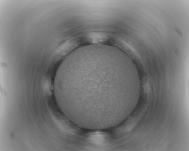 X0000091350316200708101535