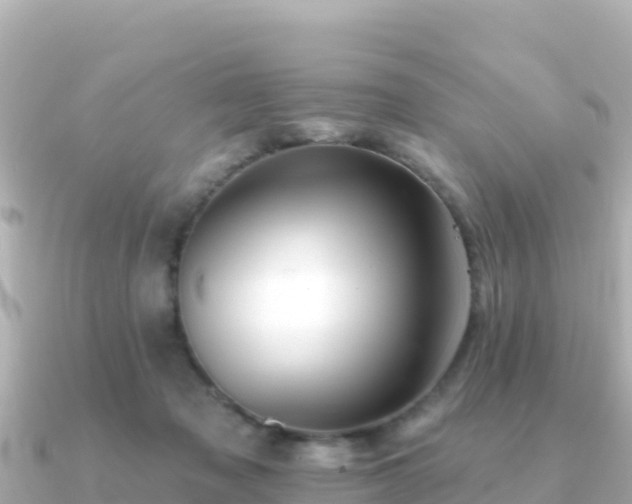 X0000091350317200708101535