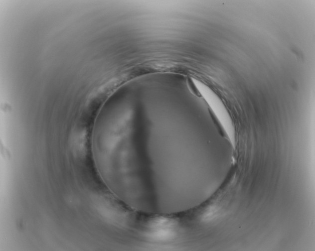 X0000091350319200708101535