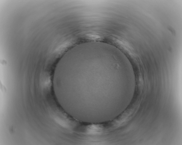 X0000091350320200708101535