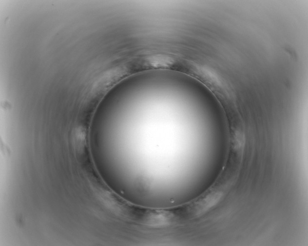X0000091350321200708101535