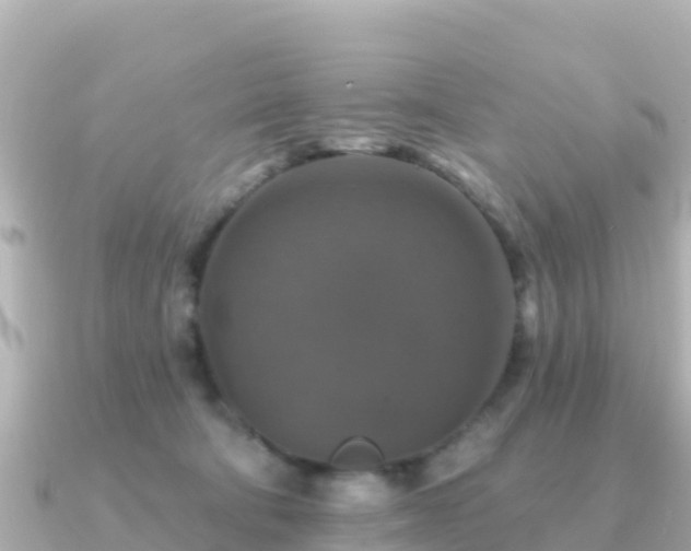 X0000091350322200708101535