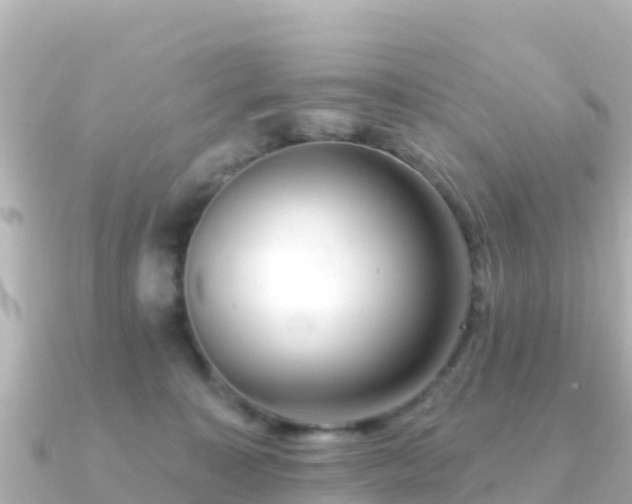 X0000091350323200708101535