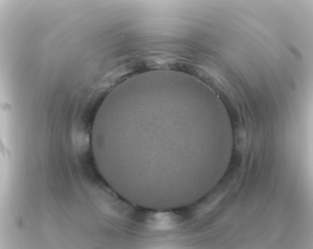 X0000091350324200708101535