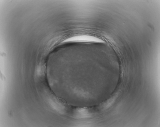 X0000091350325200708101535