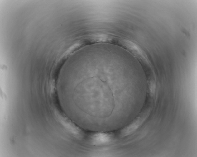 X0000091350326200708101535