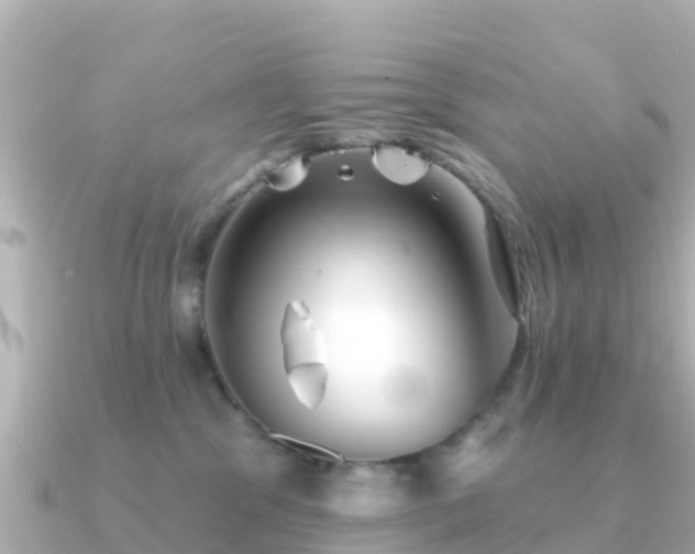 X0000091350329200708101535