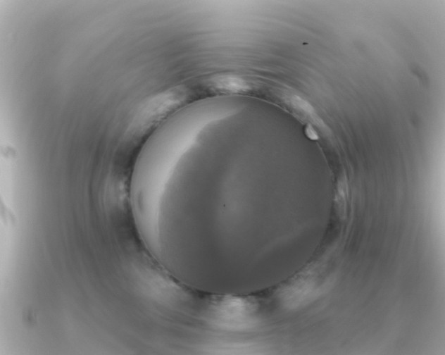 X0000091350330200708101535