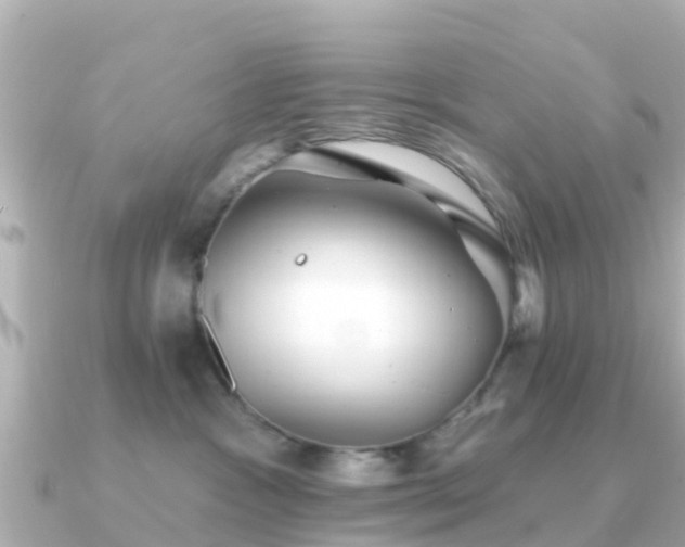 X0000091350333200708101535