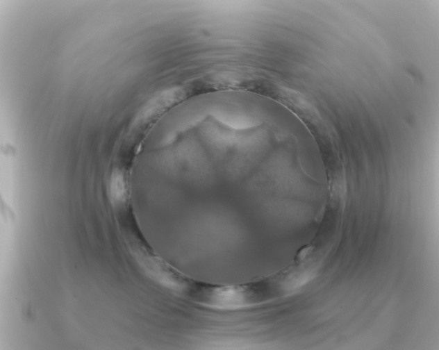 X0000091350335200708101535