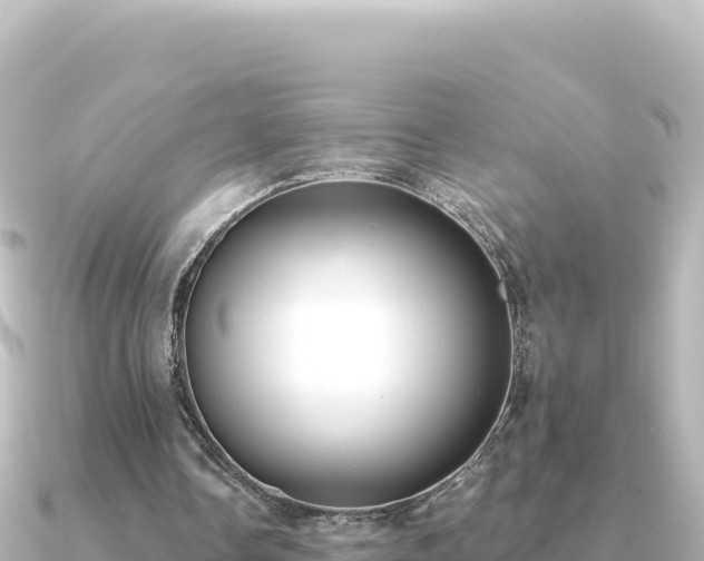 X0000091350338200708101534