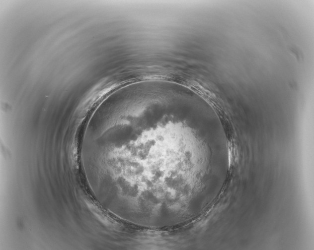 X0000091350339200708101534