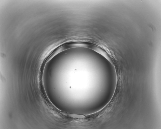 X0000091350340200708101534