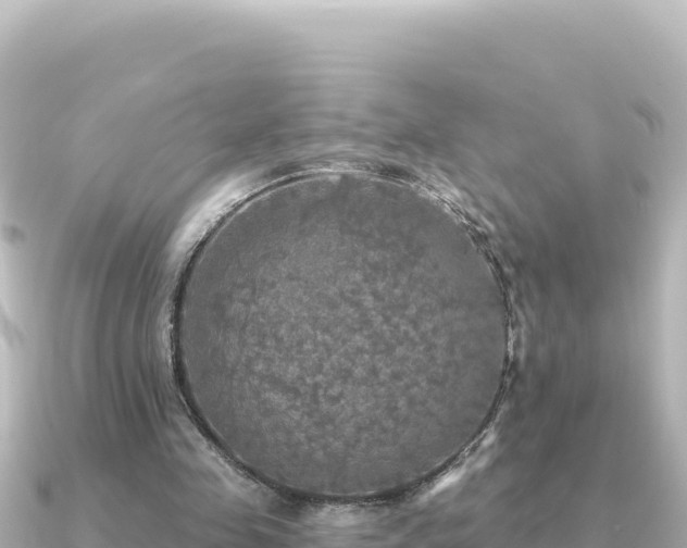 X0000091350341200708101534