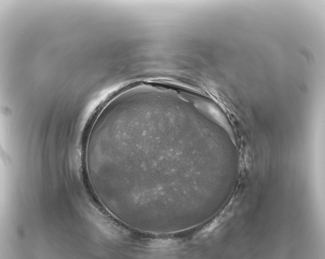 X0000091350342200708101534