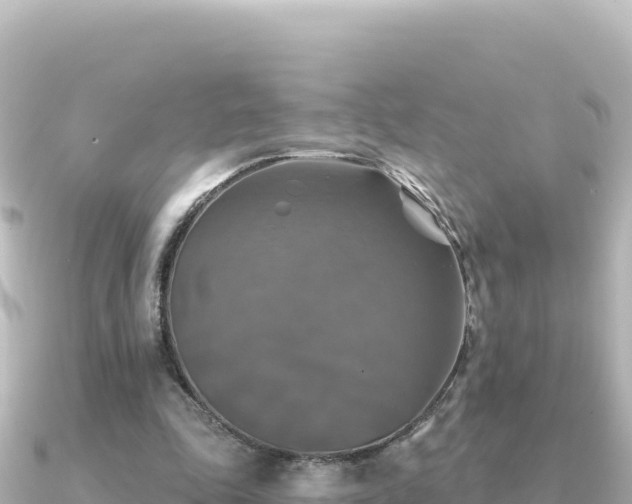 X0000091350343200708101534