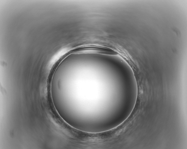 X0000091350344200708101534
