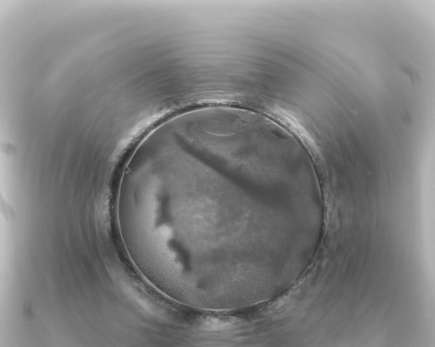 X0000091350346200708101534