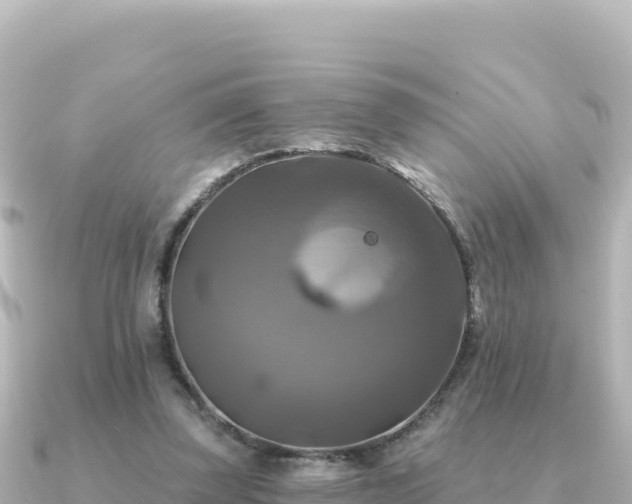 X0000091350347200708101534