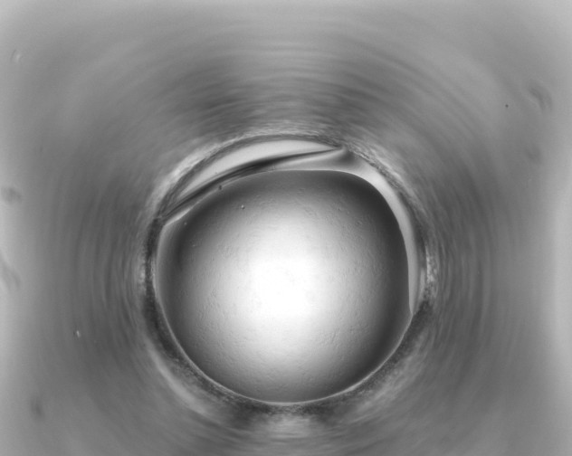 X0000091350348200708101534