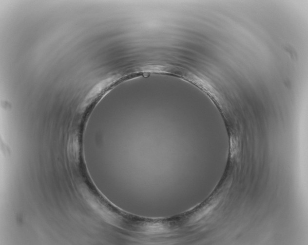 X0000091350349200708101534
