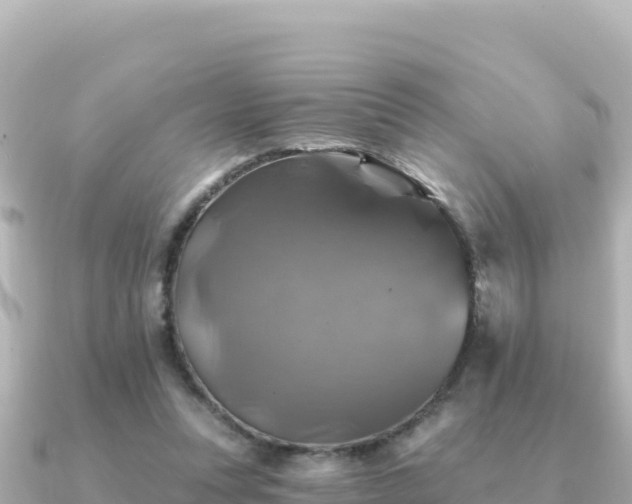 X0000091350351200708101534